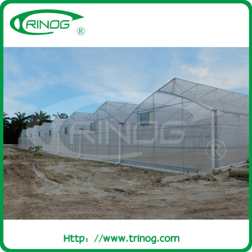 Plastic film greenhouse grow tent for agricultural
