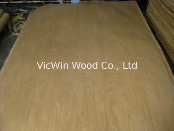 Rotary Cut Natural Birch Wood Veneer Sheet