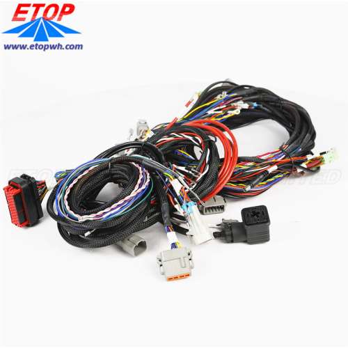 Custom complicated wiring assemblies for Vehicle