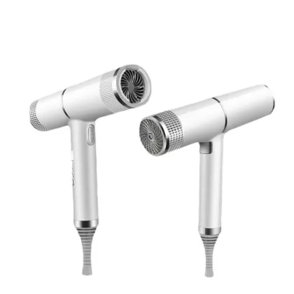 Aromatherapy Lightweight 2300W Professional Ion Hair Dryer with Diffuser