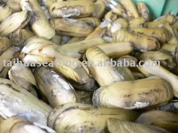 Frozen Vacuum Razor Clam Meat