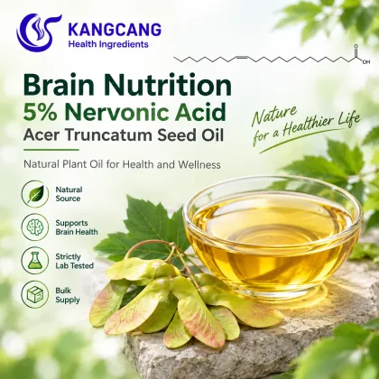 5% Nervonic Acid Acer Truncatum Seed Oil