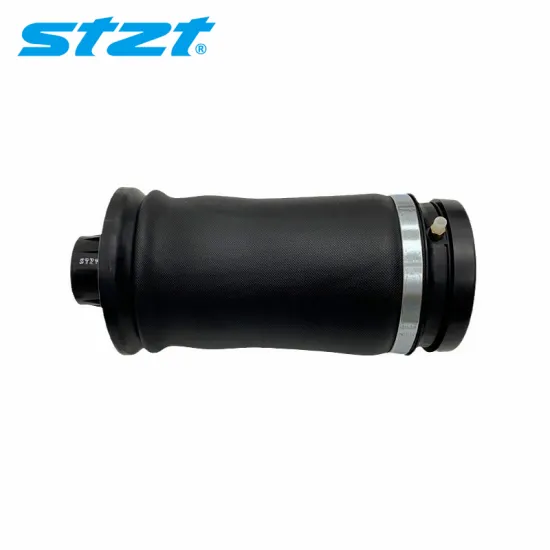 Rear Air Spring for Mercedes-Benz W166 GL-Class 1643201025