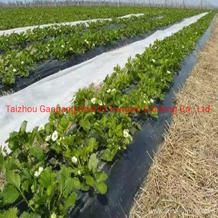 Agriculture Protective Proof Cover Fabric Roll