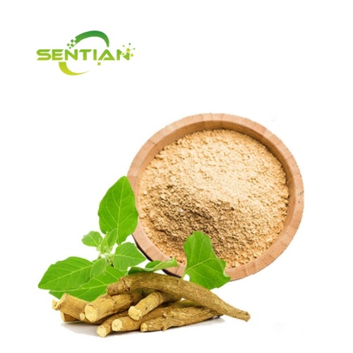 Ashwagandha Extract 2.5% - 5% Withanolides HPLC