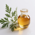 Artemisia Annua Oil 100% Steam Distilled