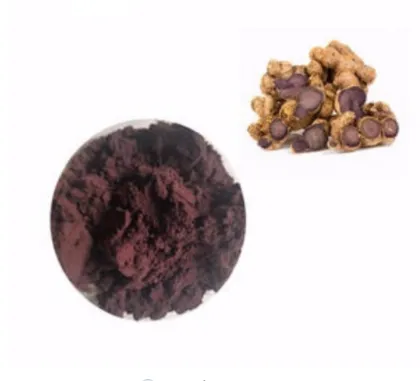 Organic Kaempferia Parviflora Black Ginger Extract Powder