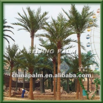 coconut palm,artificial palm,outdoor palm