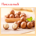 Raw Macadamia Hawaii Nut, Queensland Nut Seed Package,50 pcs Seed without Green Shell Hawaii,Crispy Plant