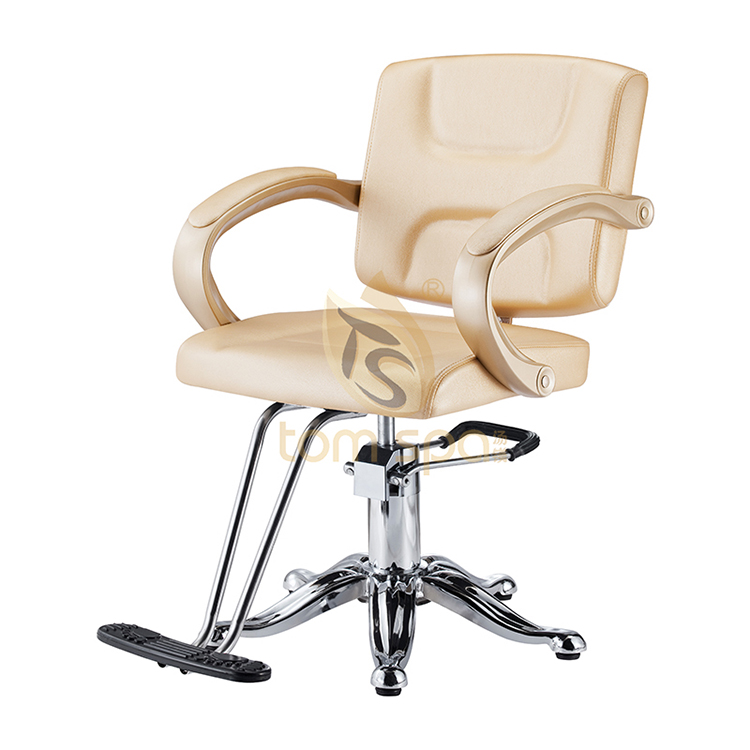 Salon Styling Chair Beige