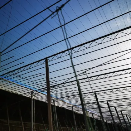 Greenhouse Plastic UV Agricultural Duratough Greenhouse Film