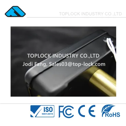 Electric Lock Gate 12V Electronic Rim Lock for Left Open Door