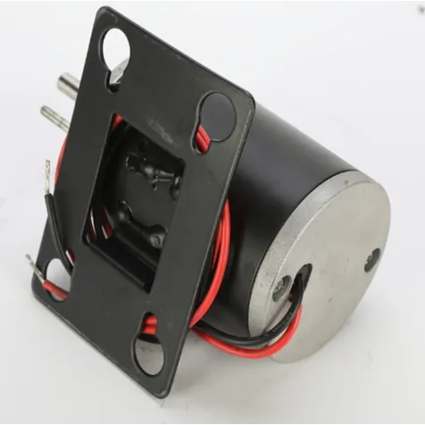 12V/24V Micro DC Brush Motor and Permanent Magnetic Mini Motors: Specifications and Applications