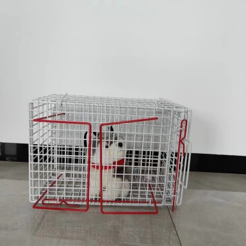 Wholesale High-Quality Cat Bath Cage - Prevent Scratching and Biting