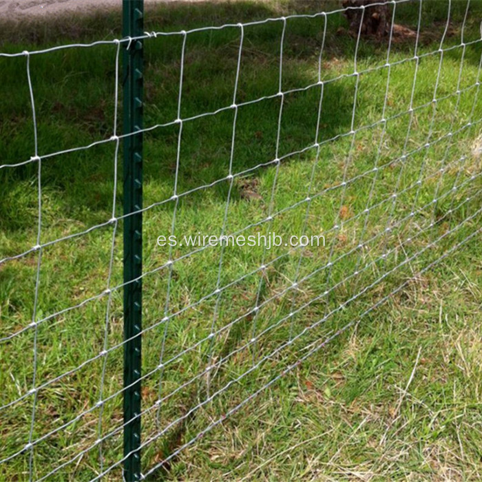 Valla de campo cercado agrícola para cabras