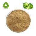 Broccoli Extract 98% Sulforaphane Powder 4478-93-7