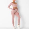 Conjunto de leggings de ginástica sem costura feminina