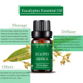 100% Pure Natural Air Freshen Eucalyptus Essential Oil