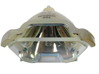 Original VIP300W 1.3P22.5 Mercury Lamp Projector Bulb Replacement - OSRAM Christie 003-120183-01 Sanyo POA-LMP100