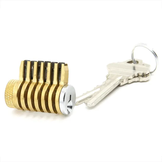 Professional Practice Cylinder Locksmith Tools Pick Set