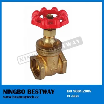 Brass Pvc Gate Valve for Water Meter