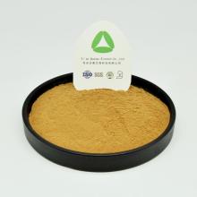 Natural Flavonoid Sea Buckthorn Isorhamnetin 25% Powder