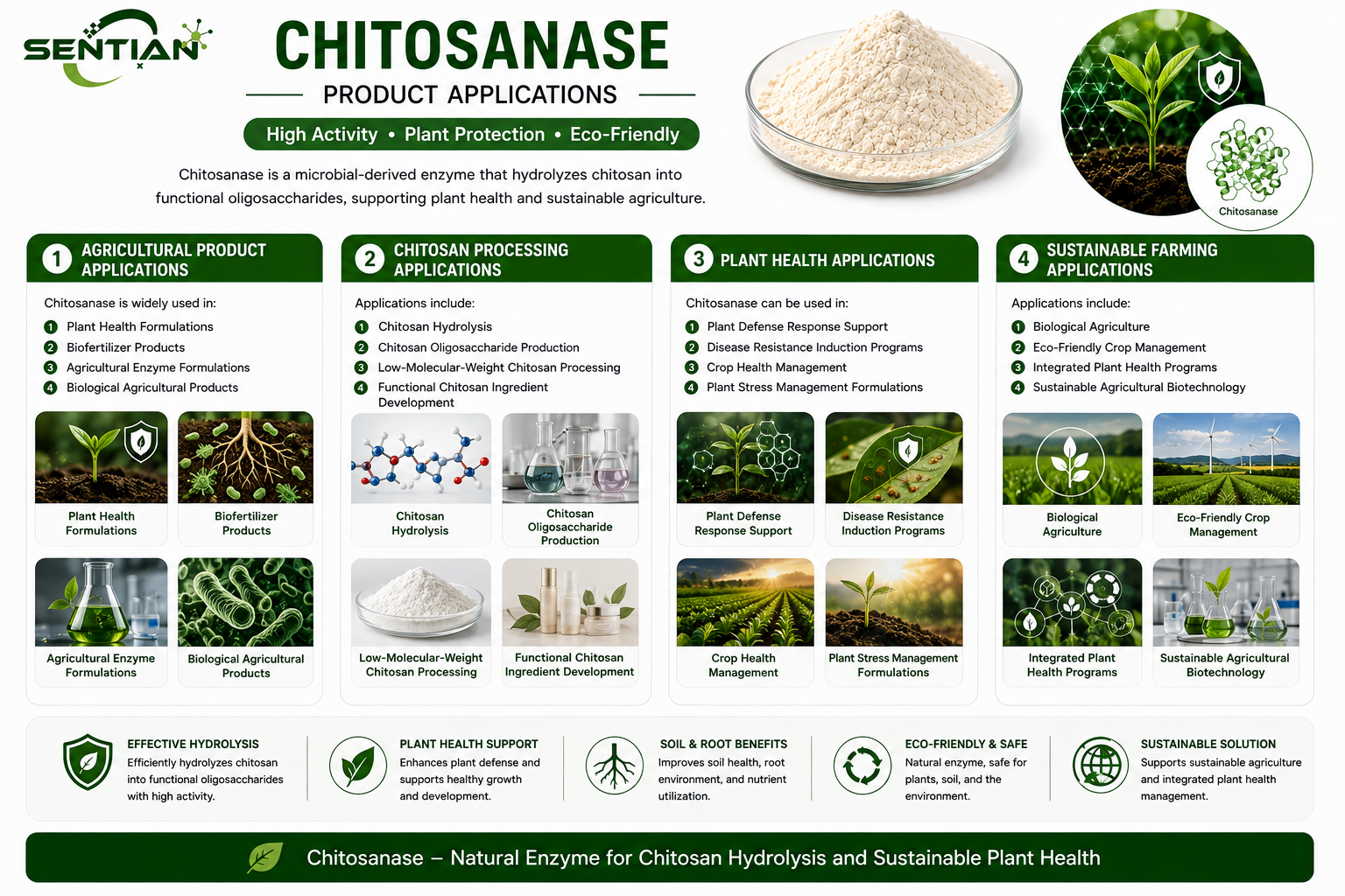 Chitosanase2