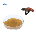 Suppply lucidum extract ganoderma lucidum powder