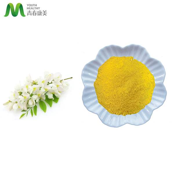 Sophora japonica fleur extrait de quercétine poudre à 95% HPLC