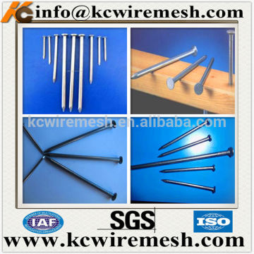 Low Price Common Wire Nails China