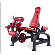 Professional Seated Leg Extension Machine