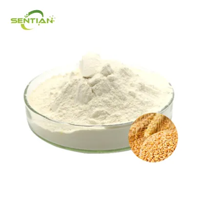 Premium Wheat Protein Isolate from Natural Plant Sources