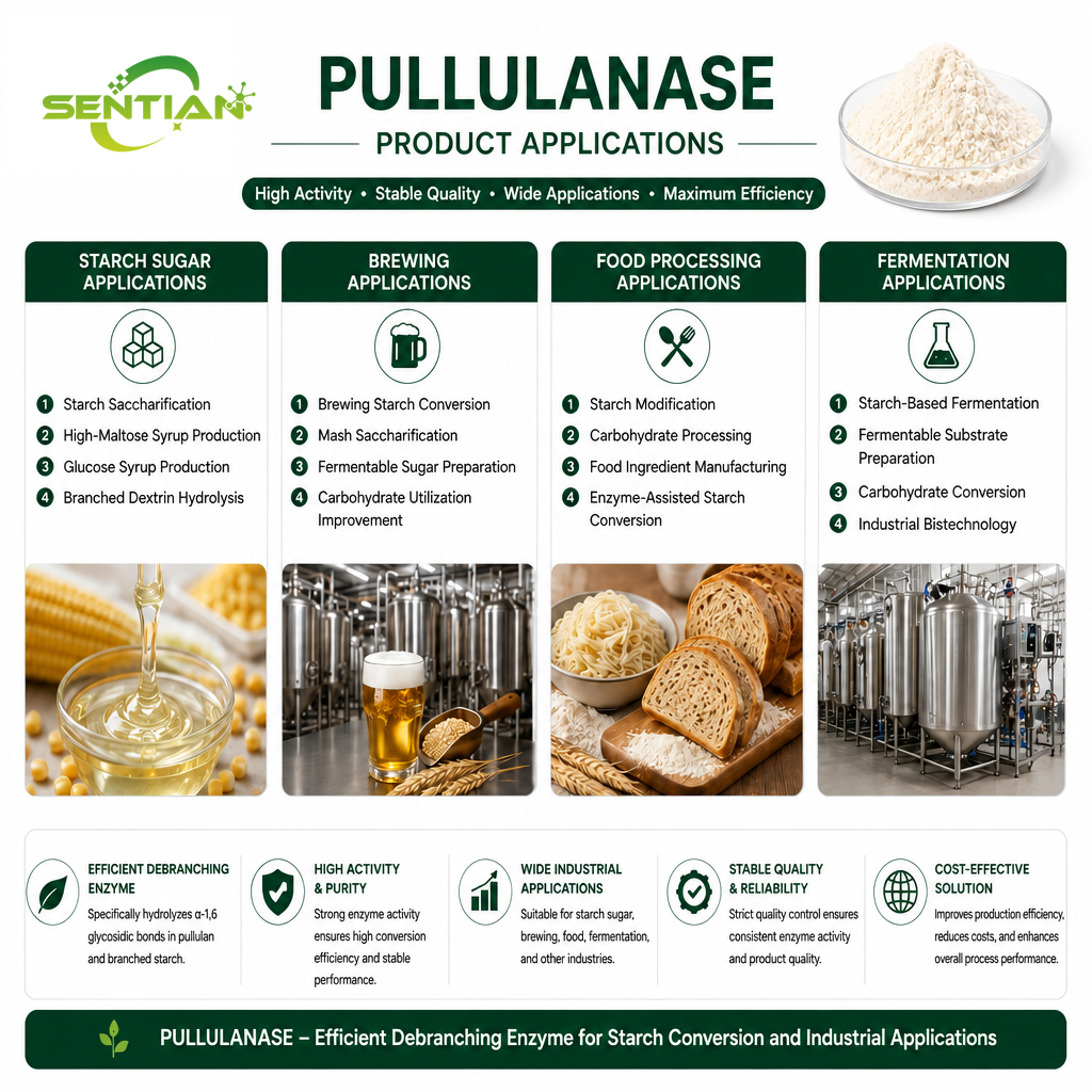 Pullulanase2