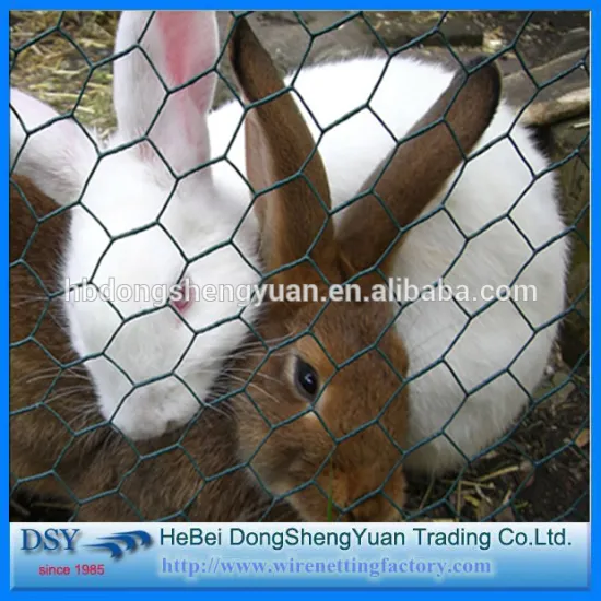 2016 Alibaba china chicken galvanized hexagonal wire mesh With Low price