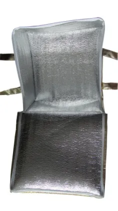 Insulated Disposable Cooler Bags 