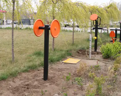 Affordable Arm Strength Trainer for Adults