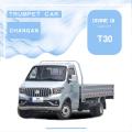 ماشین استاندارد Changan Shenqi T30