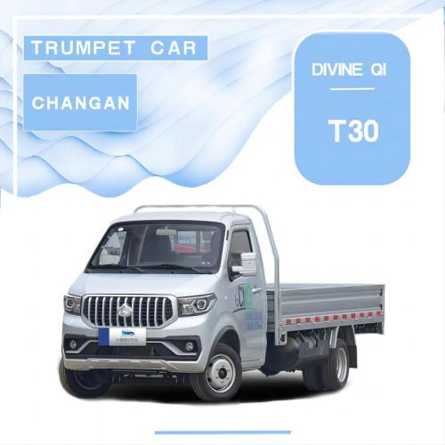 Changan Shenqi T30 מכונית סטנדרטית