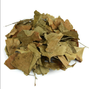 Κορυφαία ποιότητα Ginkgo Folium