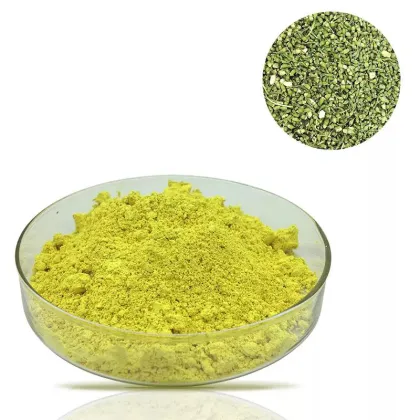Wholesale Organic Quercetin Powder