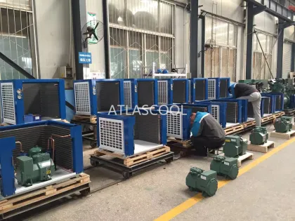 Cold Storage Room Condenser Unit