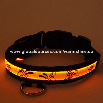LED pet collar with factory direct