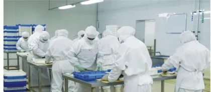 Sea Crown Canned Mackerel in Tomato Sauce