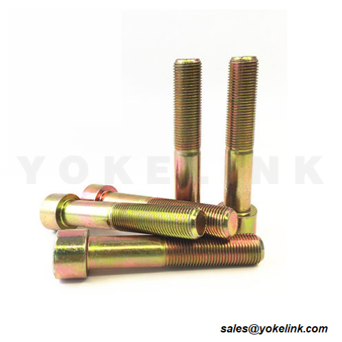 Galvanized Hexagon Socket Bolt