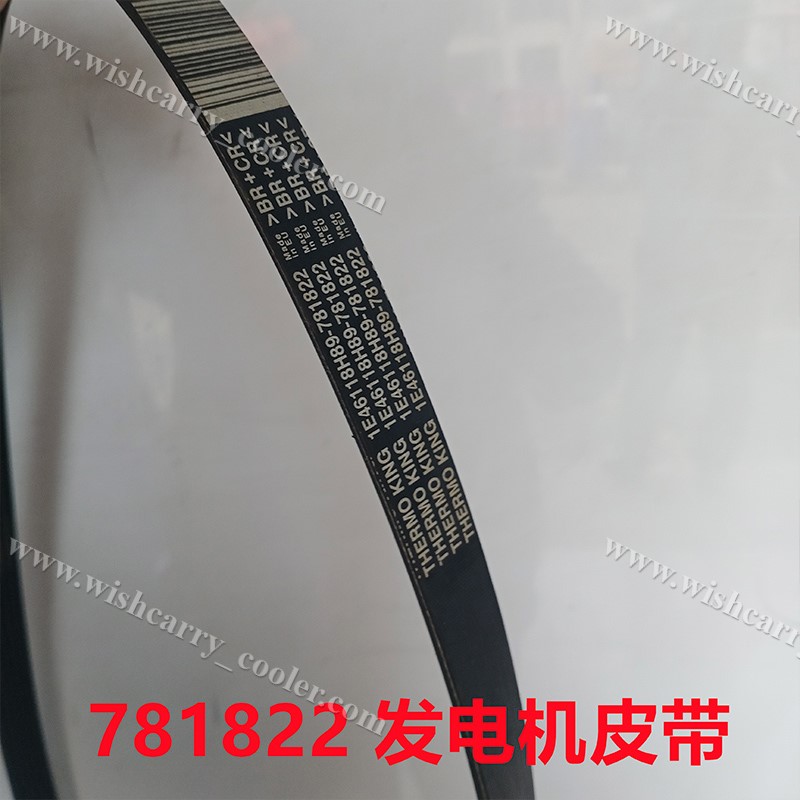 781822 Belt Thermo King Original - Motor/Jackshaft a Compressor (2/13 y después), T680P/880P/T600M/600R/800M/800R