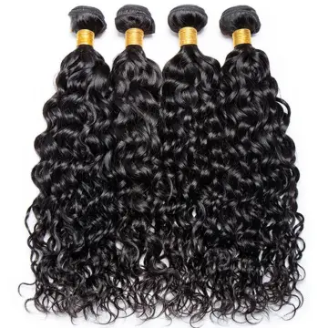 Sunlight curly human hair bundles with closure wholesale vendors raw cuticle aligned virgin hair bundles