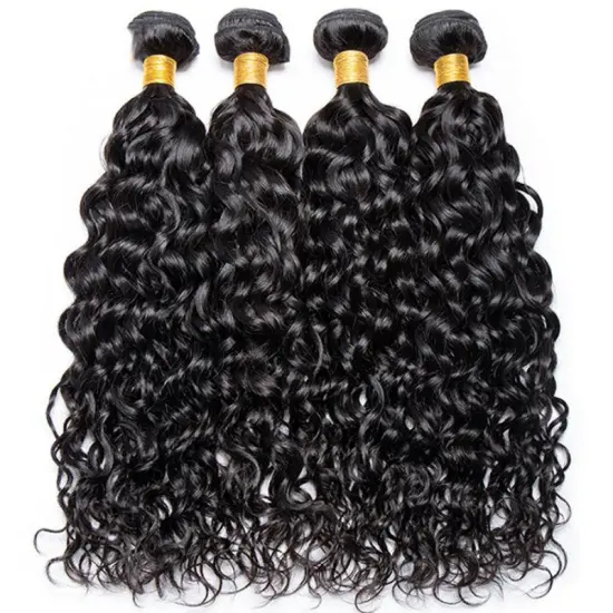 Sunlight curly human hair bundles with closure wholesale vendors raw cuticle aligned virgin hair bundles
