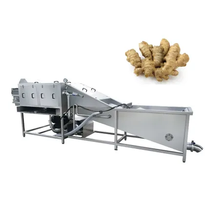 Automatic Fruit and Vegetable Washing Machinery: Fresh Ginger Washing Machine
