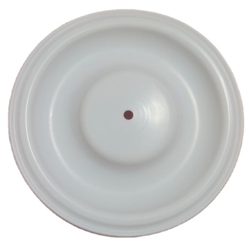 V224TF Diaphragm PTFE Parts for Versa-Matic Pumps