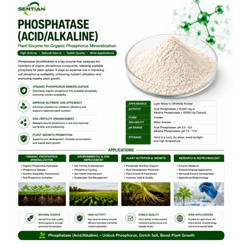 Phosphatase Enzyme for Organic Phosphorus Mineralization